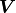 {\bm V}